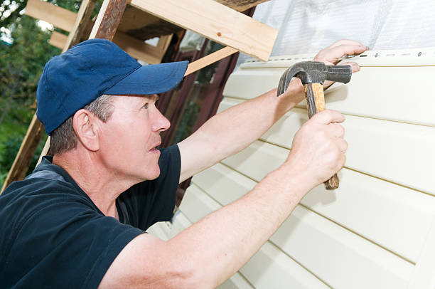 Best Brick Veneer Siding  in Soh Willard, UT