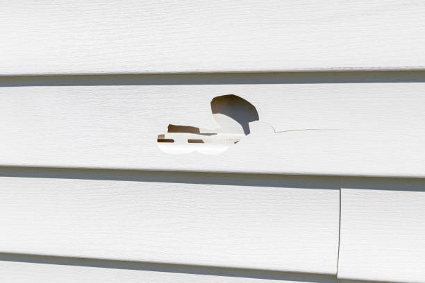 Best Custom Siding Design  in Soh Willard, UT