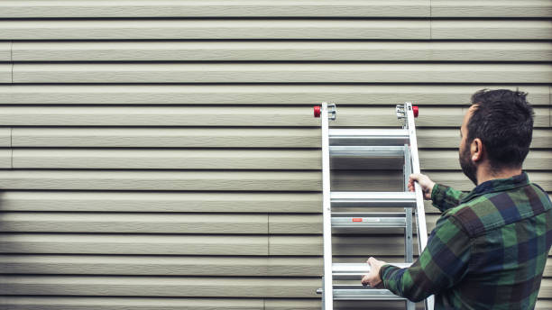  Soh Willard, UT Siding Installation Pros