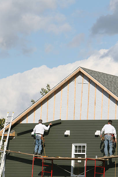 Affordable siding repair and maintenance services in South Willard, UT