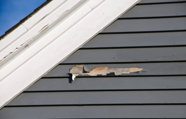 Best Historical Building Siding Restoration  in Soh Willard, UT
