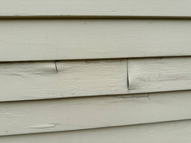 Best Siding for New Construction  in Soh Willard, UT